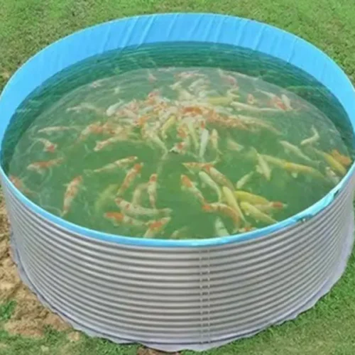 Alternative view of Above Ground Tarpaulin Fish Pond test