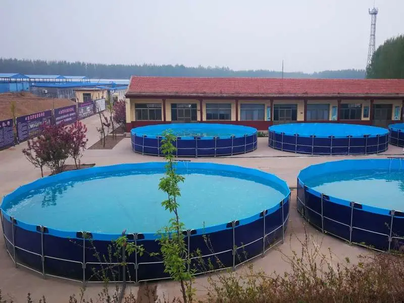 Crap farming in China