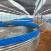 Galvanized Steel Stock Fish Tank