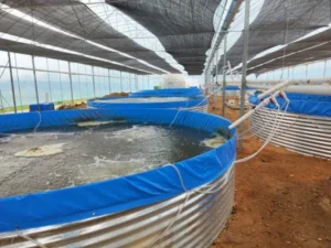 Galvanized Steel Stock Fish Tank