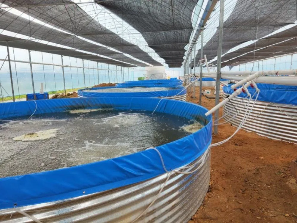 Galvanized Steel Stock Fish Tank