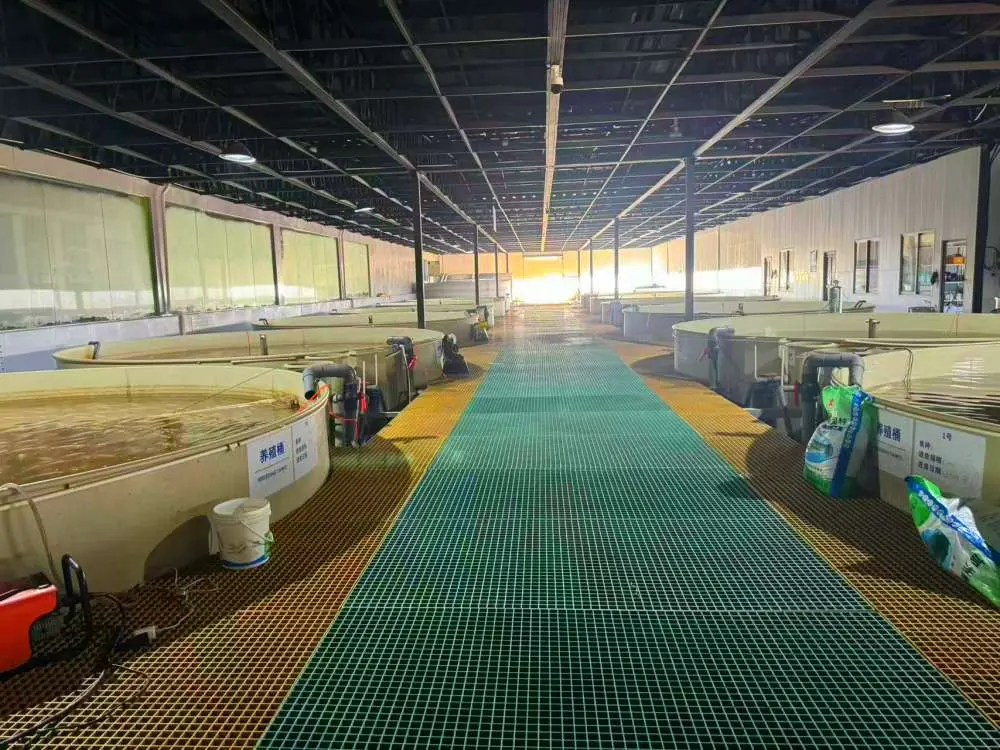 PP Fish Tank Project Showcase 4