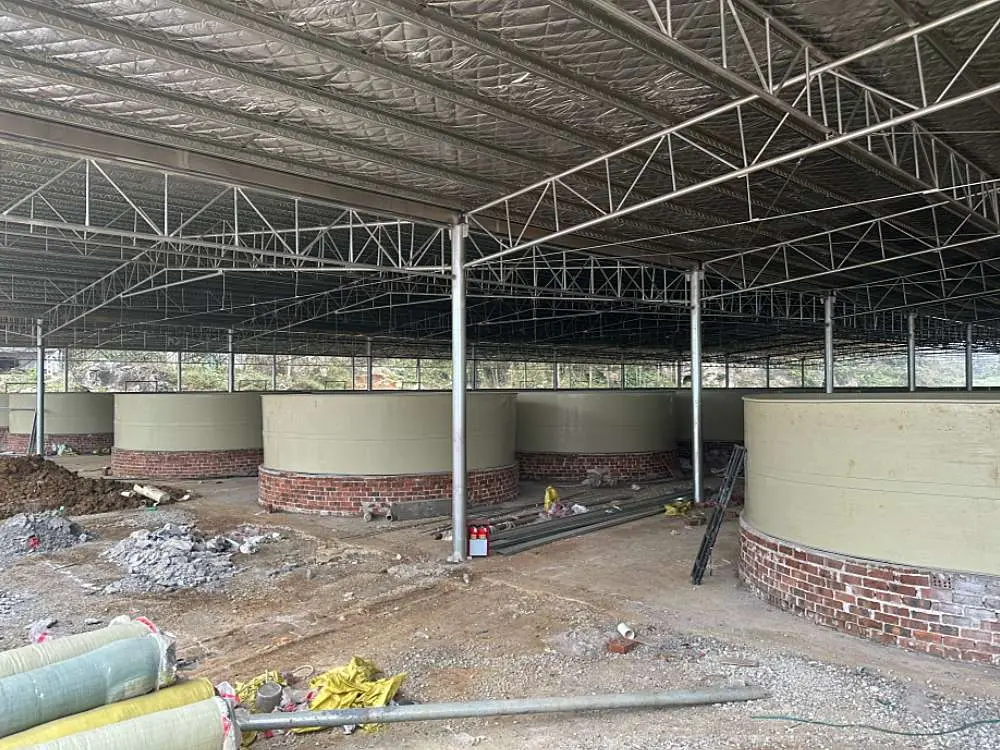 PP Fish Tank Project Showcase 5