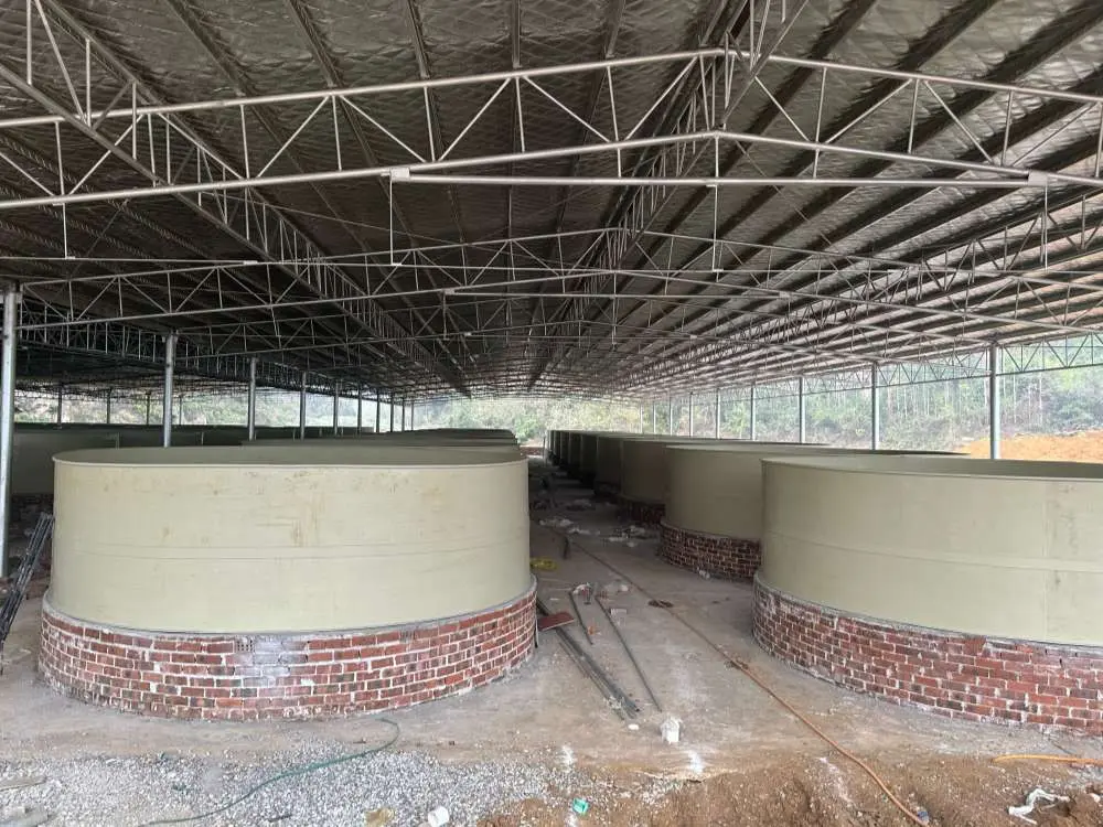 PP Fish Tank Project Showcase 6