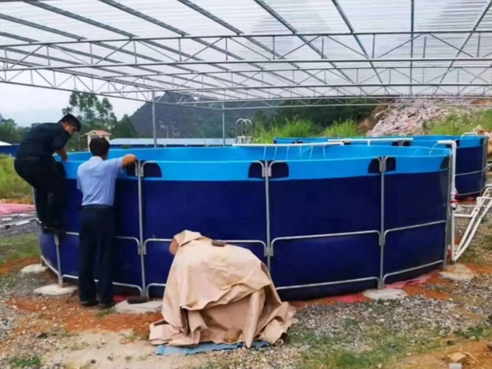 Sea bass farming in China