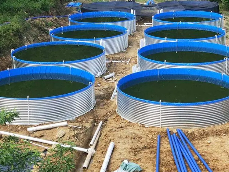 Step-by-step installation of a galvanized stock tank