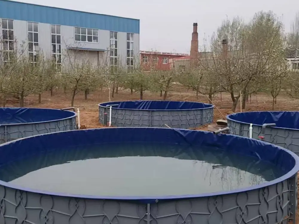 The modular PP fish tank has been installed