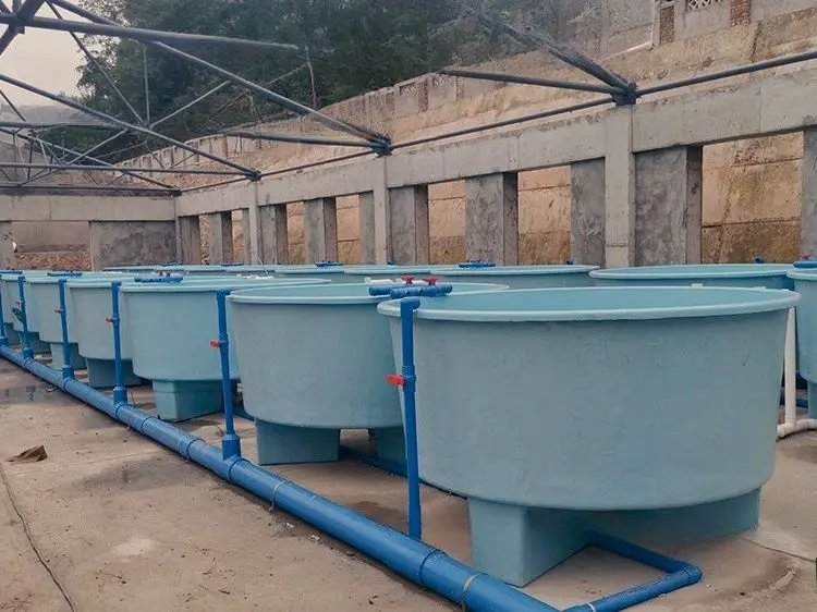 big plastic fiber fish tank