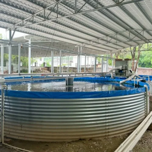 galvanized steel fish tank