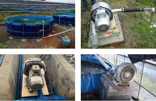 outdoor Fish pond air pump