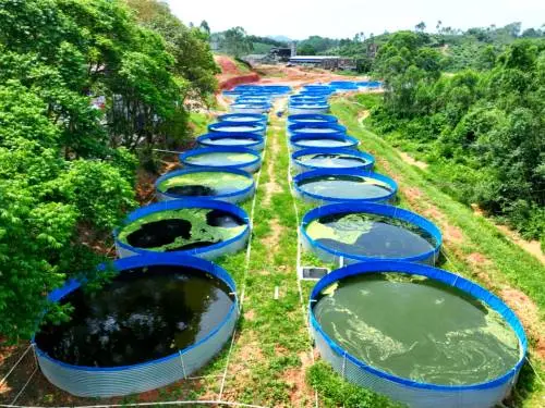 pictures of tarpaulin fish pond 1