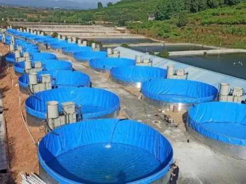 pictures of tarpaulin fish pond 3