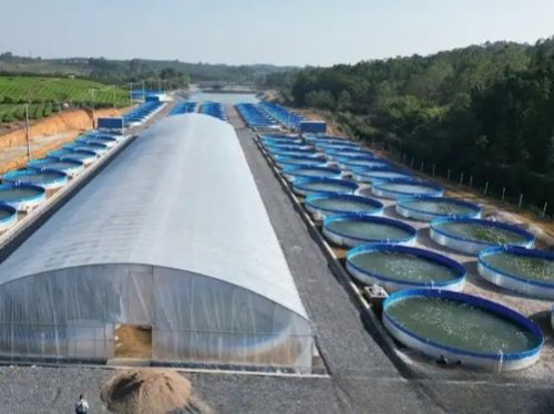 pictures of tarpaulin fish pond 4