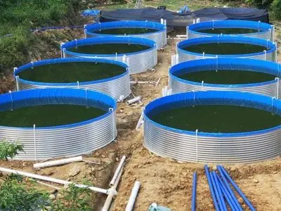 plastic tank for fish farming