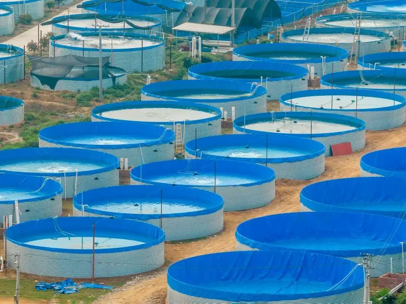 tarpaulin fish tank price