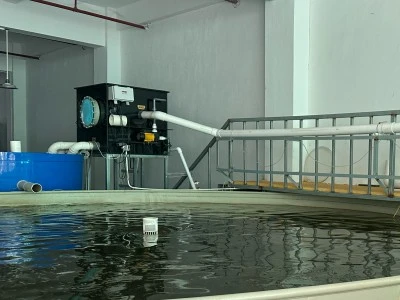 Mandarin fish RAS filtration system