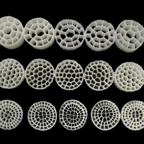 Alternative view of Biological Filtration for Aquaculture