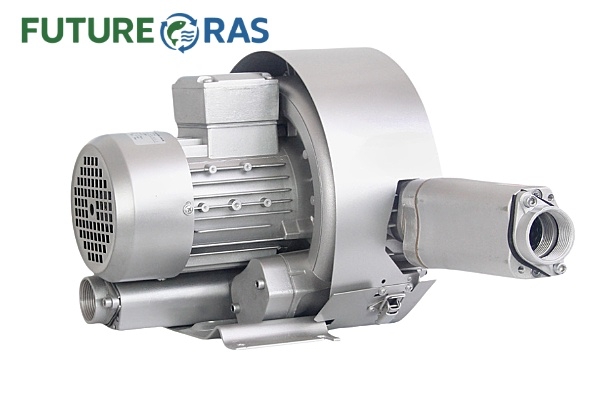 Ring Blower Aerator for Aquaculture Biological Filtration