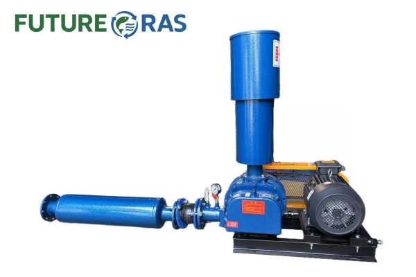 Roots Blower Aerator for Aquaculture Biological Filtration
