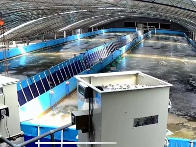 indoor shrimp farm filtration