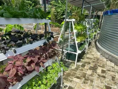 aquaponics centrifugal filter