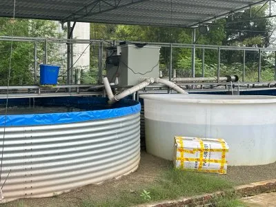 aquaponics drum filter