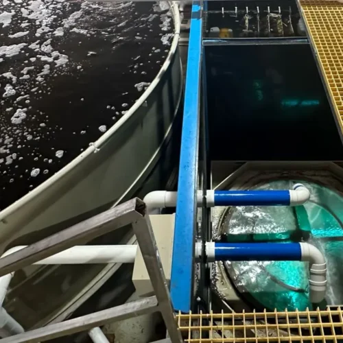 Alternative view of Compass Dynamic Gravity Fed Drum Filter