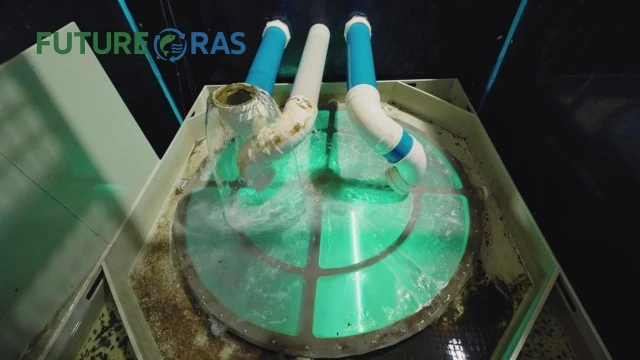 china self-cleaning screen filter for aquaculture fish farm