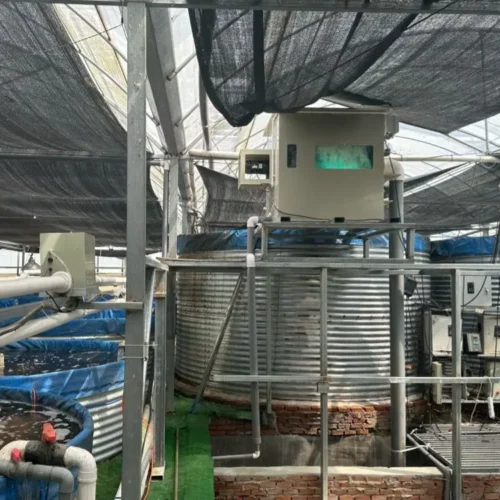 drum filter for tilapia fish farm