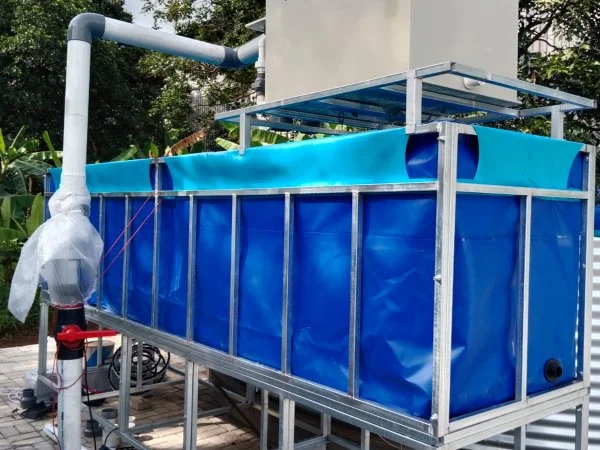 outdoor bio filter for ras tliapia farming