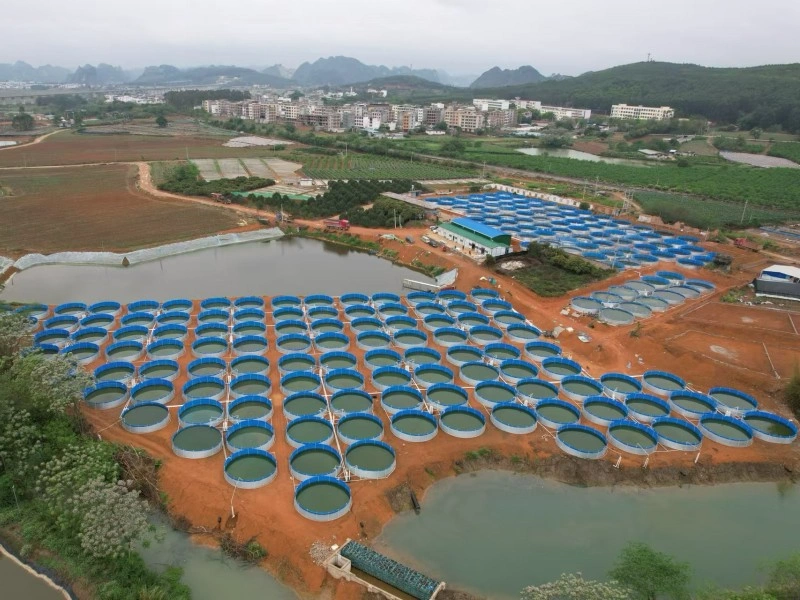 Flow-Through System Solution